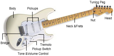 guitar_anatomy