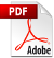 PDF file